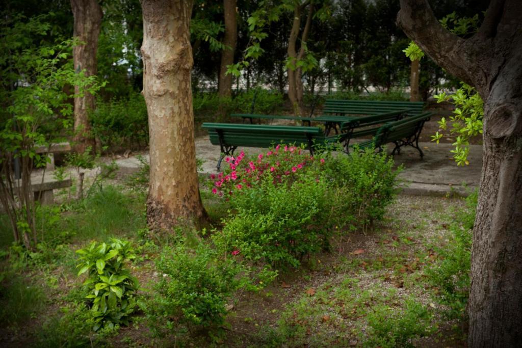 Hotel Balneario De 阿尔泰修市 外观 照片