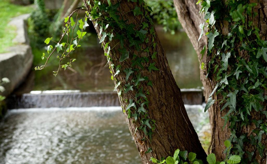 Hotel Balneario De 阿尔泰修市 外观 照片